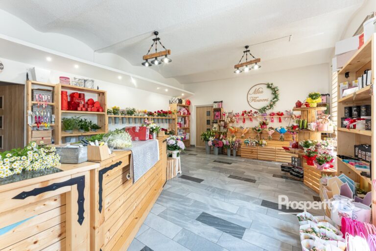 Prodej komerčních prostor 248&nbsp;m² –  Ostrava, Mariánské Hory, ul. 28.&nbsp;října