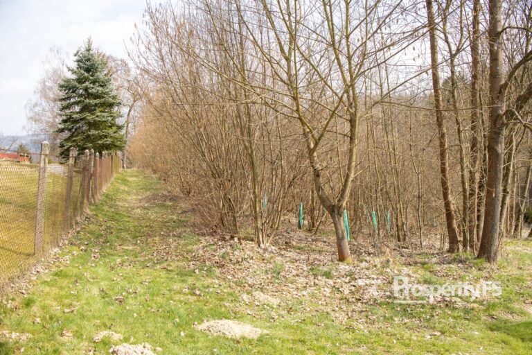 Prodej pozemků 2&nbsp;712&nbsp;m² – Příkrá, Železný Brod